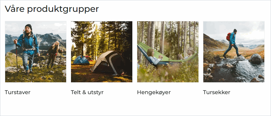 Produktgrupper på forsiden.png
