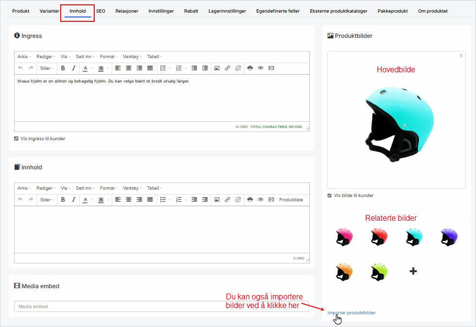 Fullført hovedbilde og relaterte bilder.png