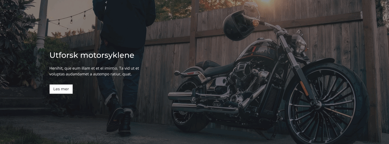 stort bilde m tekst 2.png stort bilde m tekst 2.png